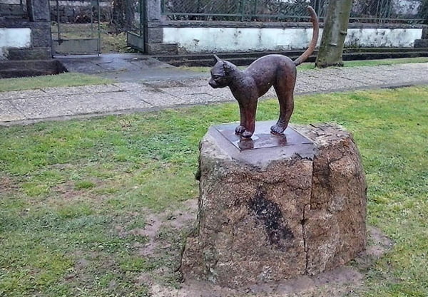 El Gato