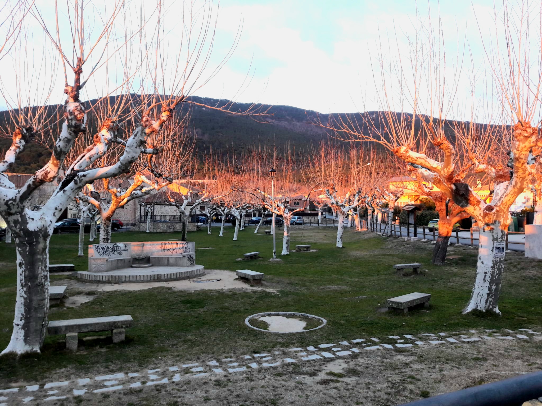 Parque de la Yedra