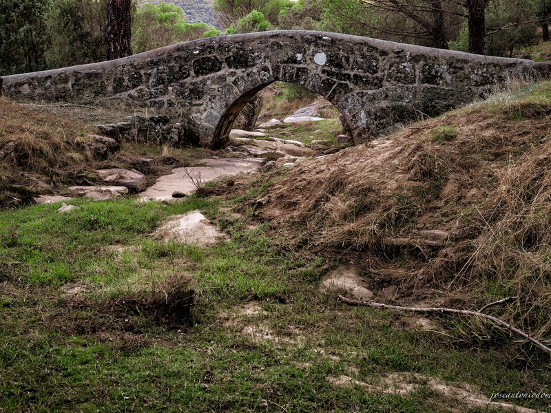 Puente Chico
