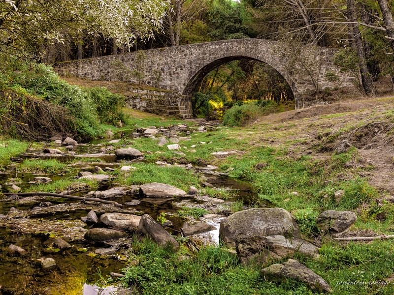 Puente Mosquea