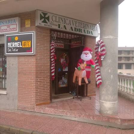 Veterinary Clinic La Adrada